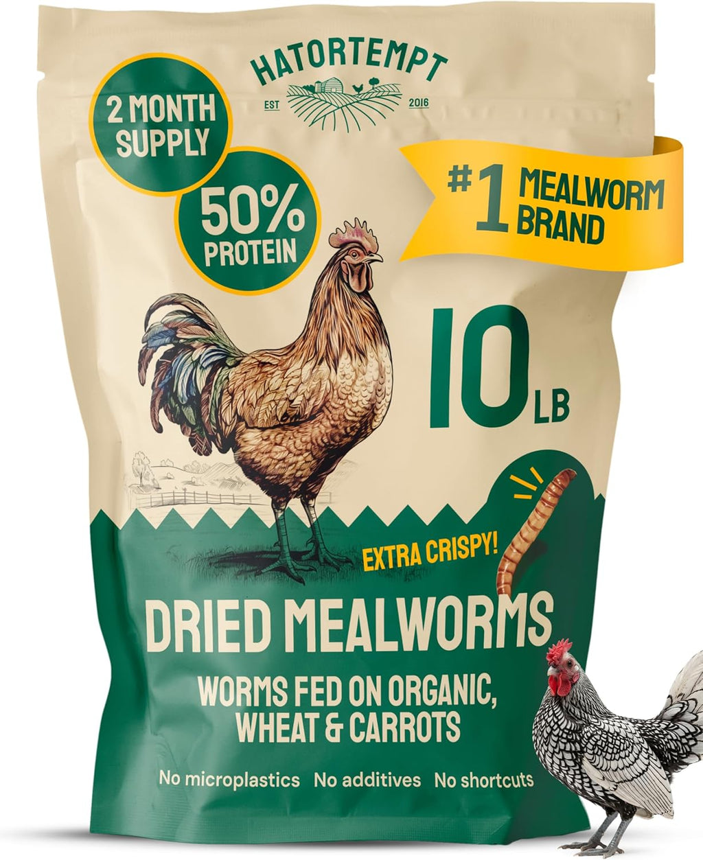 Exact source gallery 01 | Mealworms