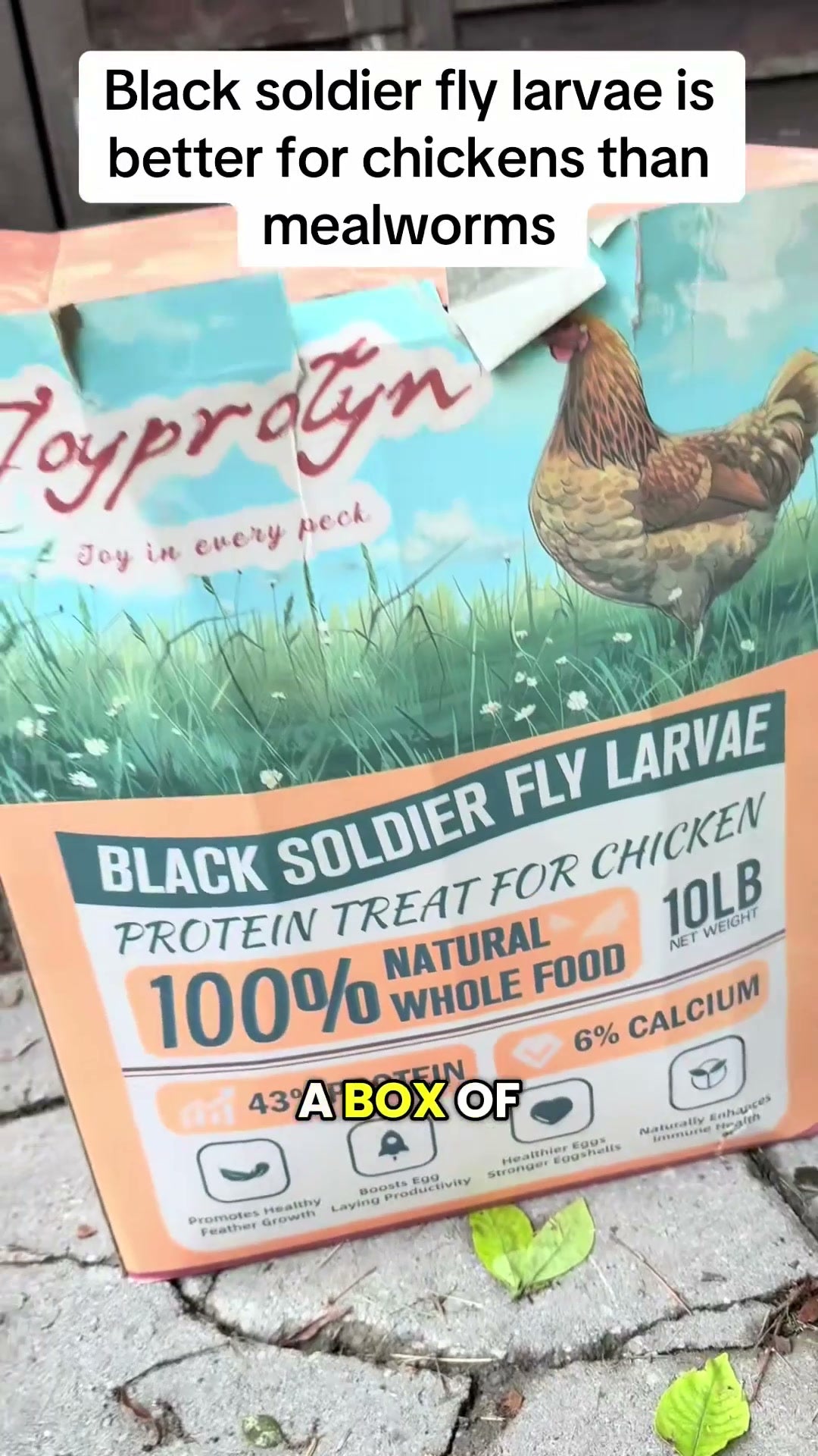 Joyprotyn 10 lb black soldier fly larvae package