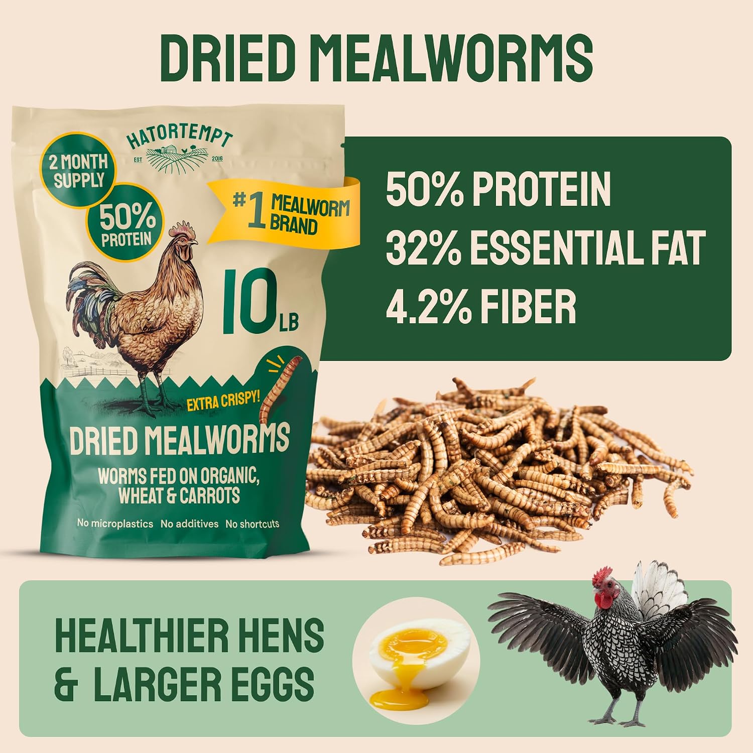 Exact source gallery 02 | Mealworms