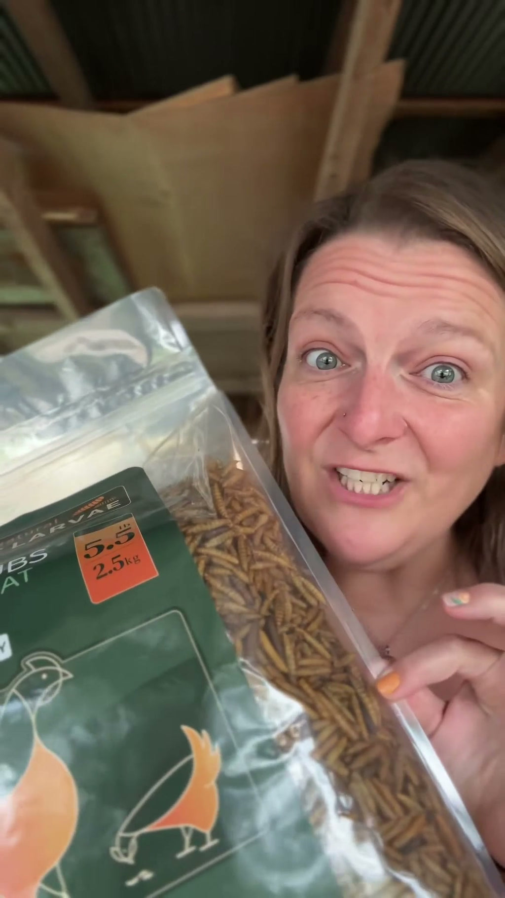 Flock keeper holding dried black soldier fly larvae