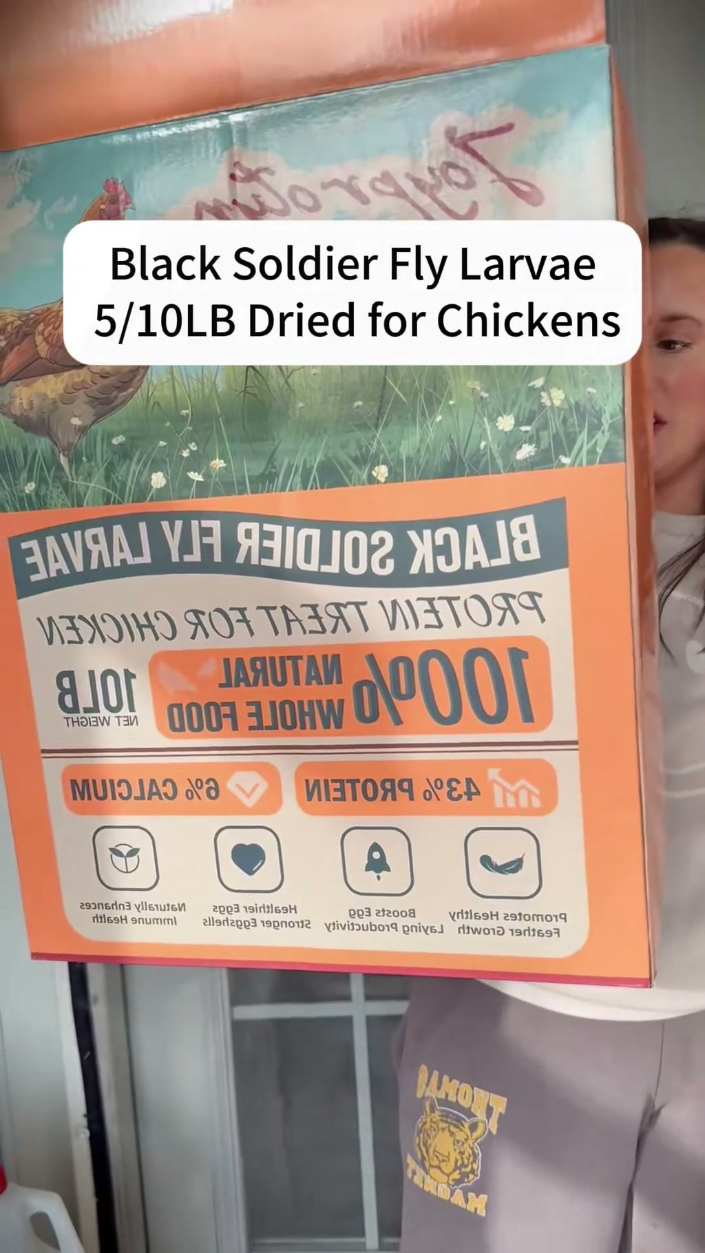 Joyprotyn black soldier fly larvae package and dried larvae